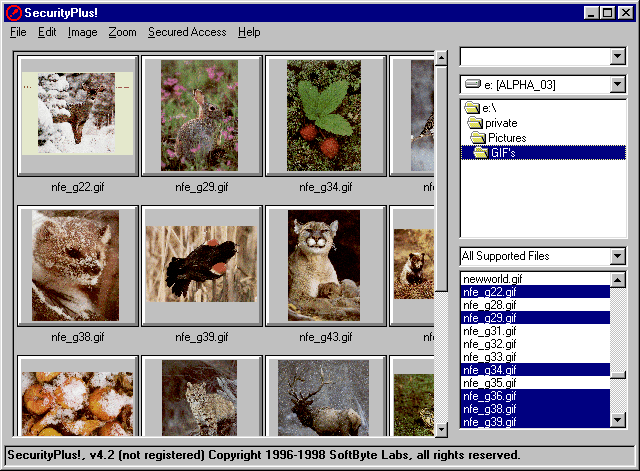 SecurityPlus! Screenshot